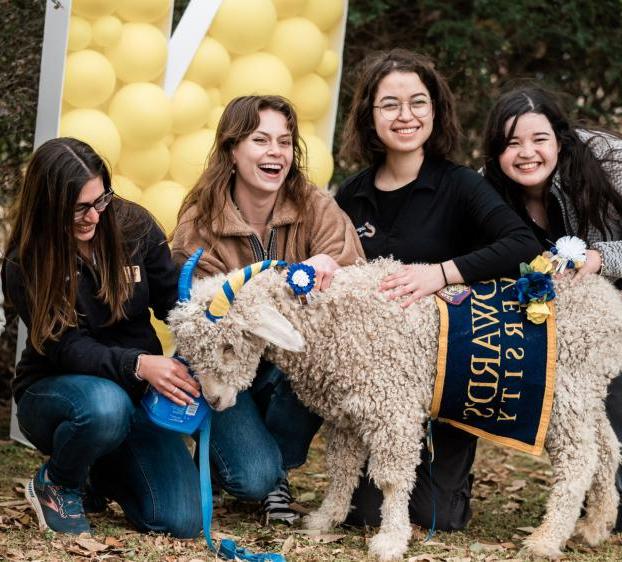 Four students smile and pet the live goat mascot, who is wearing a St. Edward's blanket.