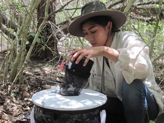 A student sits outdoors amidst dense vegetation, wearing a wide-brimmed hat 和 long-sleeve shirt. A small round table in front holds scientific equipment, possibly for environmental research.